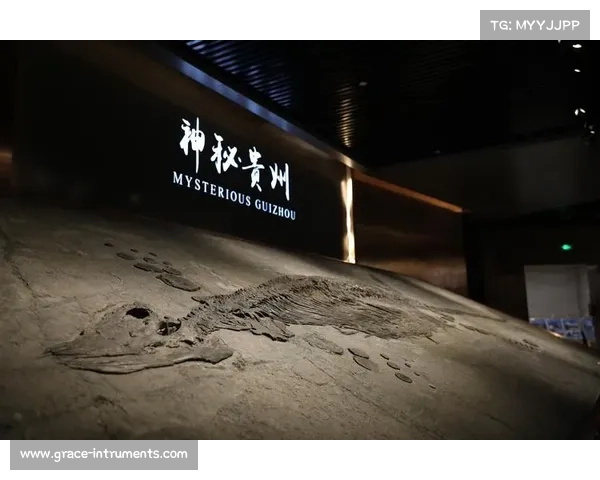 克莱维利:探索现代城市化与历史文化交融的独特魅力与发展潜力 克莱维利:探索现代城市化与历史文化交融的独特魅力与发展潜力